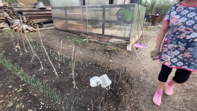 #66 ДЖАКУЗИ на даче / ВЫСАДИЛИ всю рассаду / Уборка участка смотреть онлайн