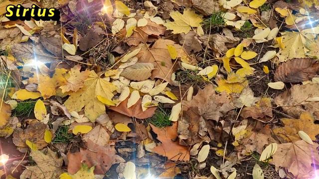 17 ноября Еремин день, что категорически нельзя делать смотреть онлайн