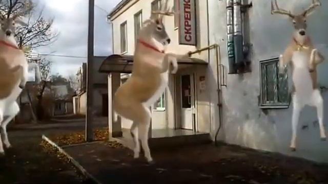 Супермаркет канцтоваров "Скрепка" смотреть онлайн