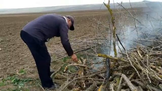 На лесополосе вдоль автотрассы в сторону Махачкалы состоялся очередной из серии субботников. смотреть онлайн
