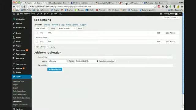How To Use Redirection Plugin To Cloak Your Affiliate Links смотреть онлайн