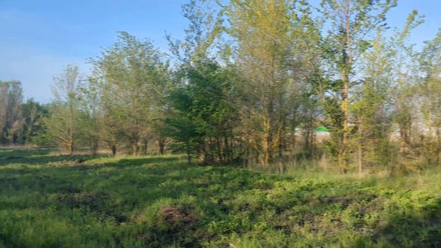 Выгорание на работе. Как с этим бороться? смотреть онлайн