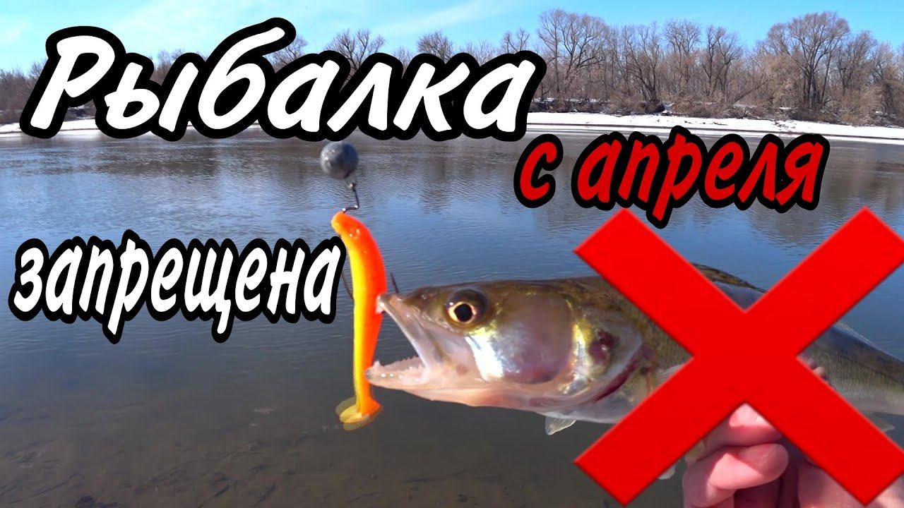 Ловля судака весной/ Рыбалка на джиг, эта приманки сработала. смотреть онлайн