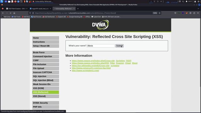 11.10. Bypassing Server-Side Filters - Part 1 смотреть онлайн