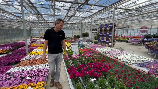 Florensis | Dahlia Solutions смотреть онлайн
