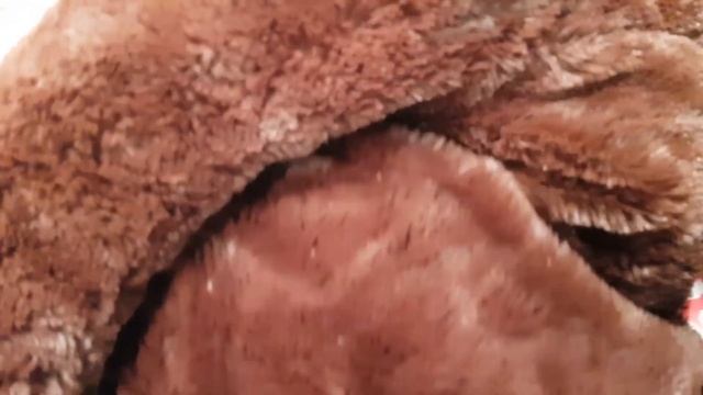 LIFE VLOG: Покупки в ИКЕА/ Выбираем ШКАФ КУПЕ/ Шоппинг Лика расстроилась