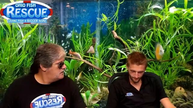 Stay Fishy Friday 8/14/20 #teamtracy смотреть онлайн