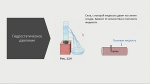 Транскапиллярный обмен