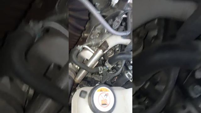 Где находится номер двигателя Тойота Ленд Крузер Прадо 150 2.8 177 л.с Toyota Land Cruiser Prado 15 смотреть онлайн
