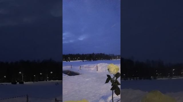 Купание в прорубе. Белый белый снег и белая роза. смотреть онлайн