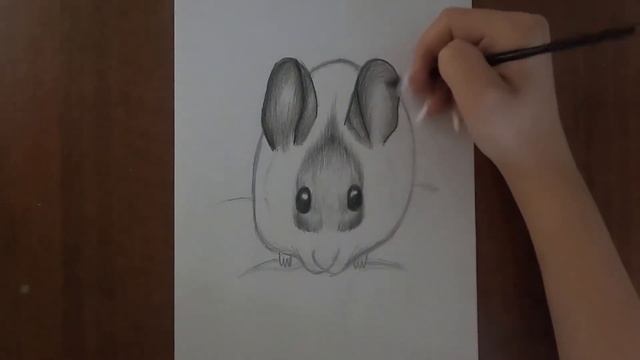Как нарисовать Хомячка / How to draw a hamster смотреть онлайн