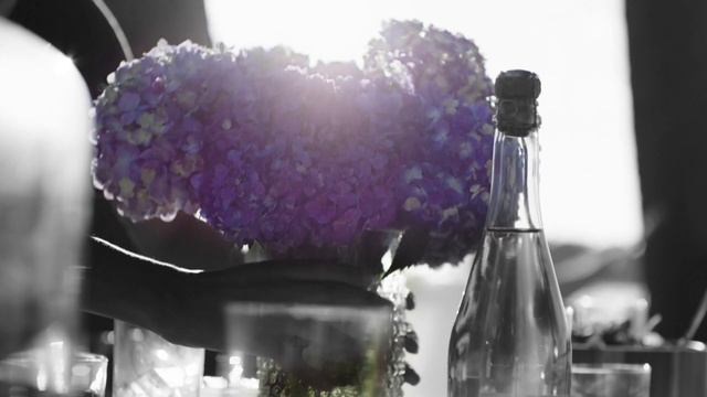 Experience Life in Full Bloom with Endless Summer® Hydrangeas смотреть онлайн