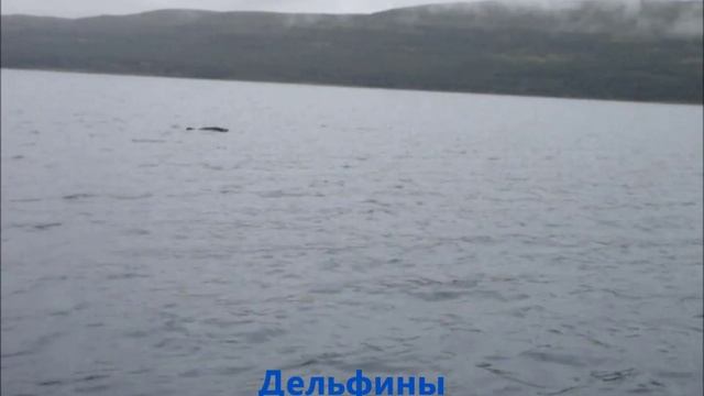 ПОЛУОСТРОВ РЫБАЧИЙ. Отдых, туризм,экстрим, рыбалка!!! смотреть онлайн