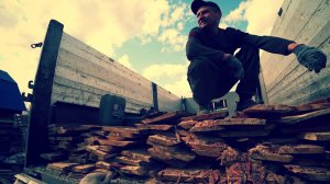 Как мы кур покупали на участок. Сбор черемши , березового сока  и деревенская баня