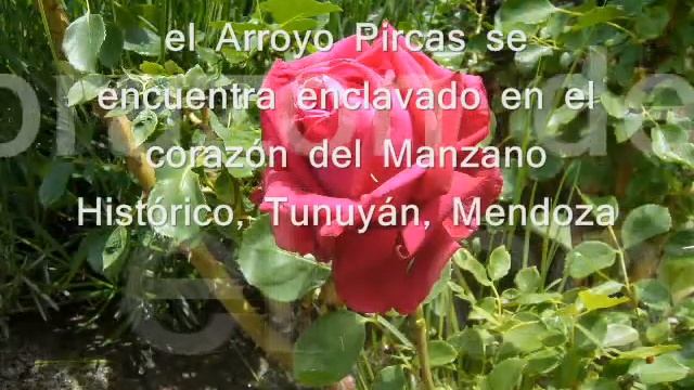 Encuentro En El Arroyo Pircas