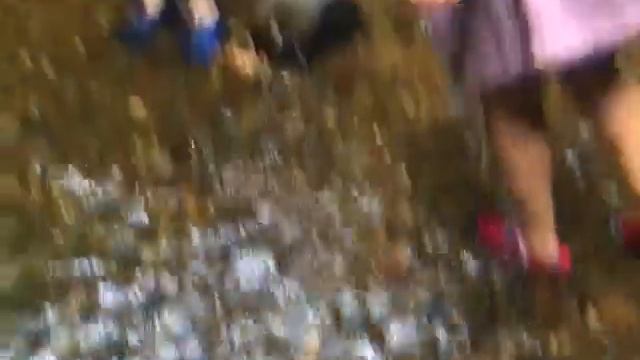 Exploring a Scottish Jungle || Scotland impressions смотреть онлайн