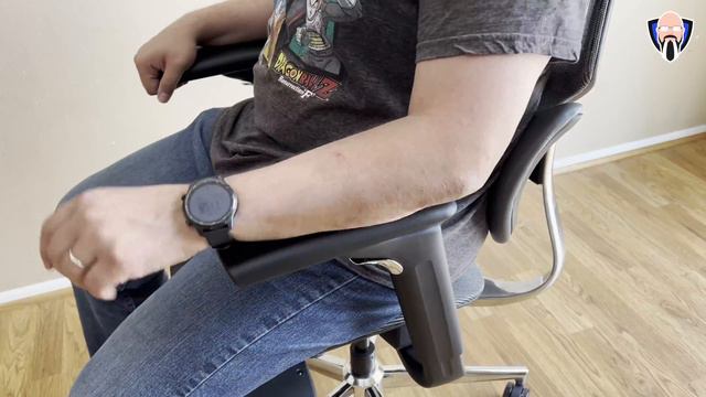The Soothing HBADA E301 Ergonomic Office Chair Review