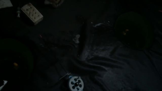 НА МОЖАЙКУ С ДОЧКОЙ. Новогодний Юмористический! смотреть онлайн