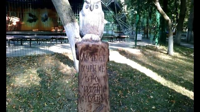 Осенний отдых в парке Островского смотреть онлайн