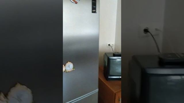 Обзор квартиры Золотая гавань смотреть онлайн