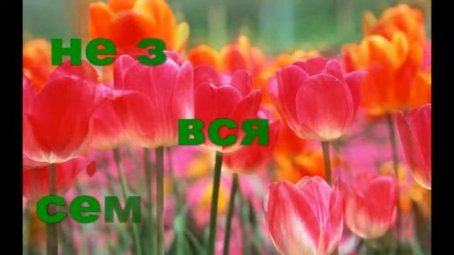 С днём Рождения смотреть онлайн