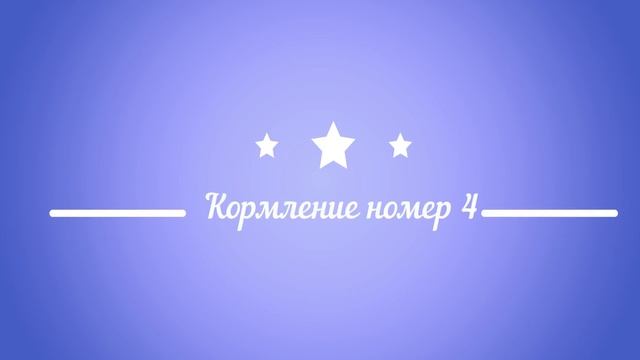 Тестирование влажного корма для кошек !!! смотреть онлайн