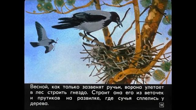 Г. Снегирев. "Кто где живет". Читает Л.Г. Сергеева. Библиотека мкрн. "Депо". смотреть онлайн