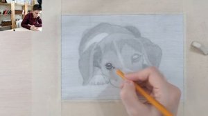 Как нарисовать собаку карандашом