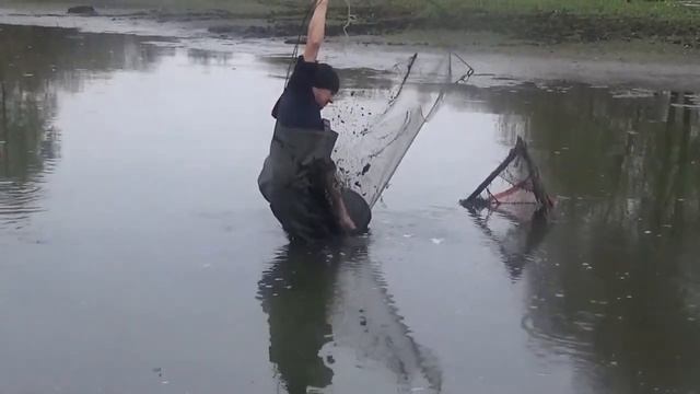 Где брать живцов для зимней рыбалки ??? Заготавливаем живцов !!! смотреть онлайн