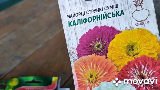 Что посеем// розы после заморозков смотреть онлайн