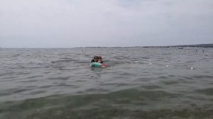 Геленджик. Санаторий "Солнечный Берег"