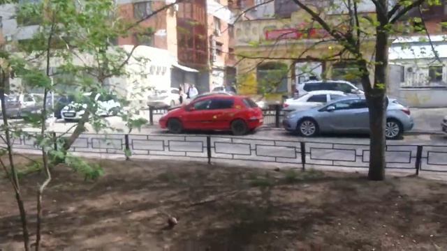 Аренда магазина в Самаре. Ул. Чапаевская, 212 смотреть онлайн