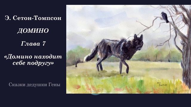 ДОМИНО. История одного черно-бурого лиса. Глава 7. Домино находит себе подругу смотреть онлайн