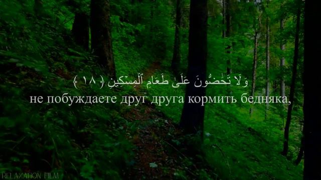 Сура Аль Фаджр - Анас аль Амади / أنس العمادي - سورة الفجر смотреть онлайн