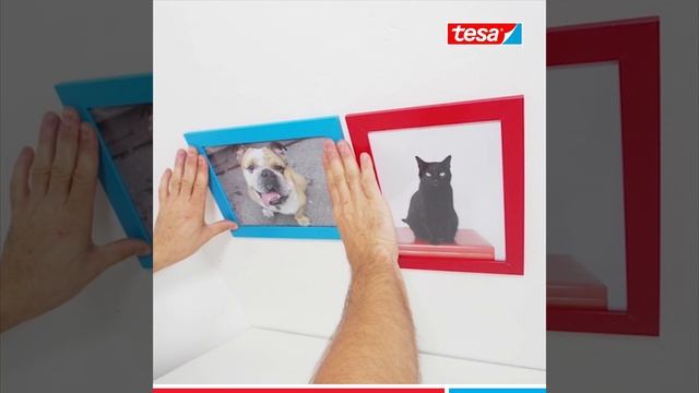 Коллаж из любимых фото на стену смотреть онлайн