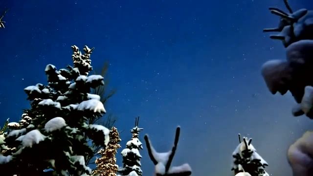 ленточный фундамент на глине смотреть онлайн