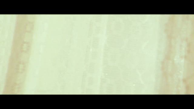 Mój jest ten kawałek podłogi - Cover. Matheo & Andrzej Donarski. Legendy Polskie. смотреть онлайн
