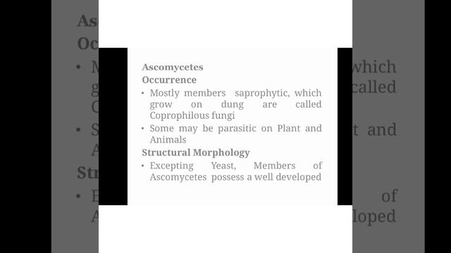 ASCOMYCETES смотреть онлайн