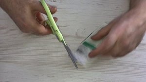 #2 Проращиваю семена платикодона | Как вырастить платикодон из семян | 2021 год