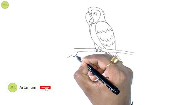 How To Draw A Macaw Bird | Easy Step By Step Drawing For Beginners смотреть онлайн