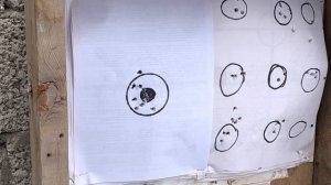 Кузей к 30 отстрел с экспансивными и валанчиками.