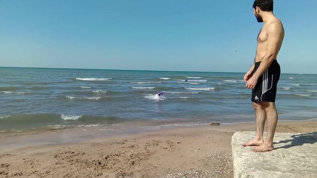 питбуль Малышок смотреть онлайн