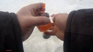 КАК ЛОВИТЬ ФОРЕЛЬ НА ИКРУ ЗИМОЙ? ПОКАЗЫВАЮ НА ДЕЛЕ!