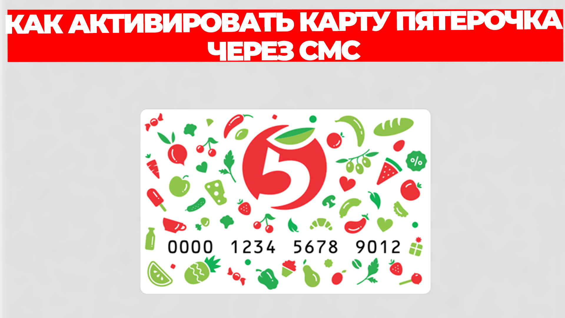 Всезнающий Енот