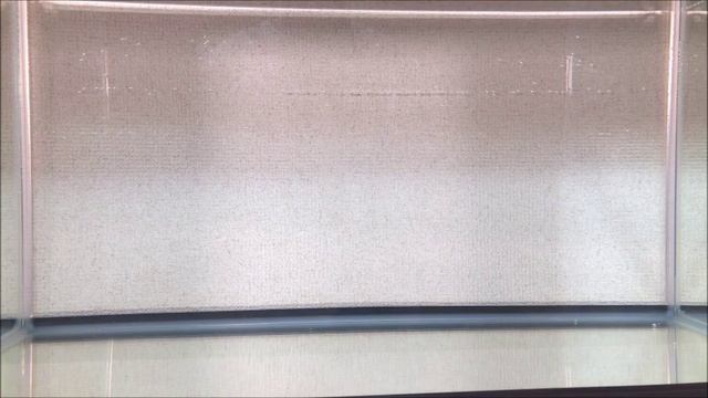 【テトラワークス】バーニーの水中映像(初心者必見アジングワーム) смотреть онлайн