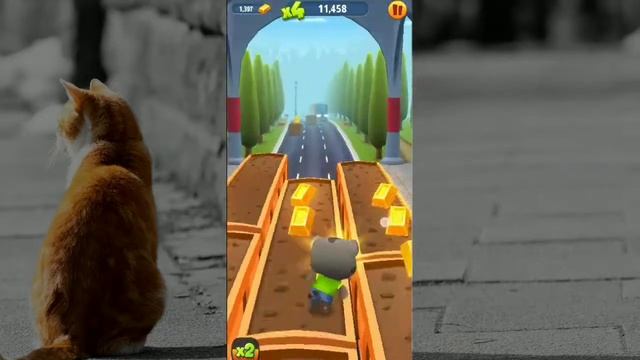 Первый забег в игре кот Том бег за золотом! смотреть онлайн