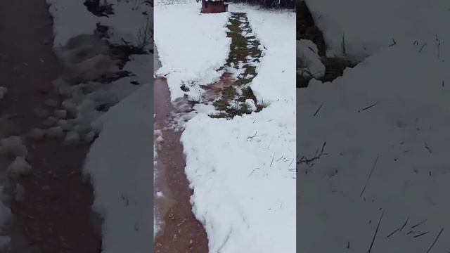 24 Октября а у нас СНЕГ