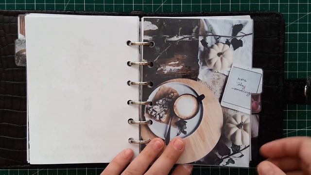 Разделители для ежедневника Pocket Croc/New Deviders For Pocket Size Planner