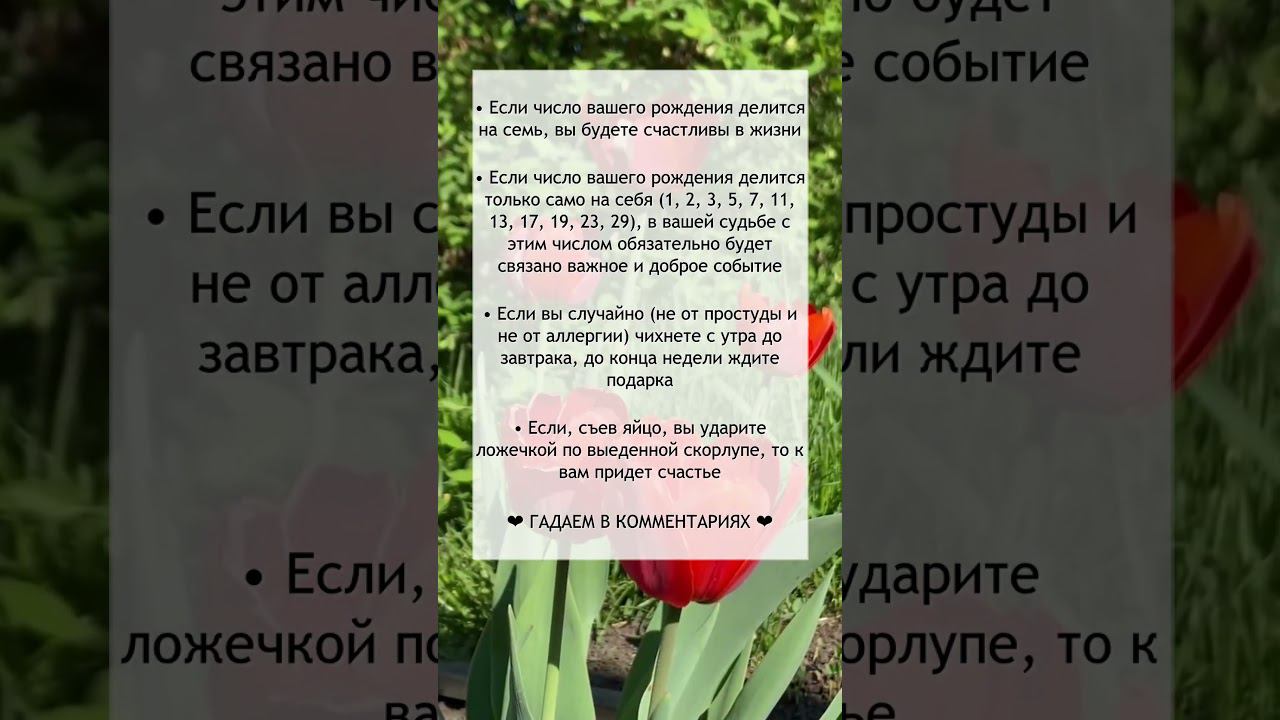 Хорошие приметы №15 смотреть онлайн