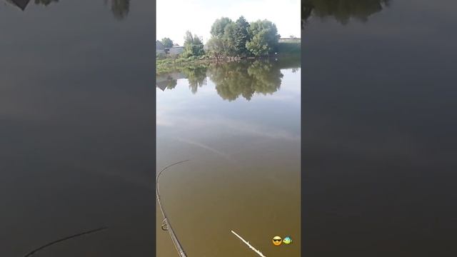 Рыбалка Раменский район 2018 Август смотреть онлайн